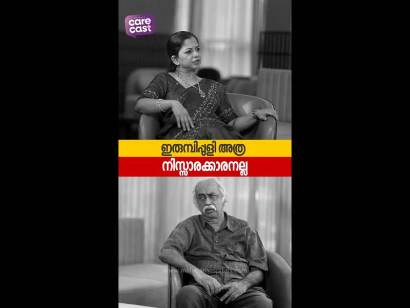 ഇരുമ്പിപ്പുളി അത്ര നിസ്സാരക്കാരനല്ല! | dr.milimoni